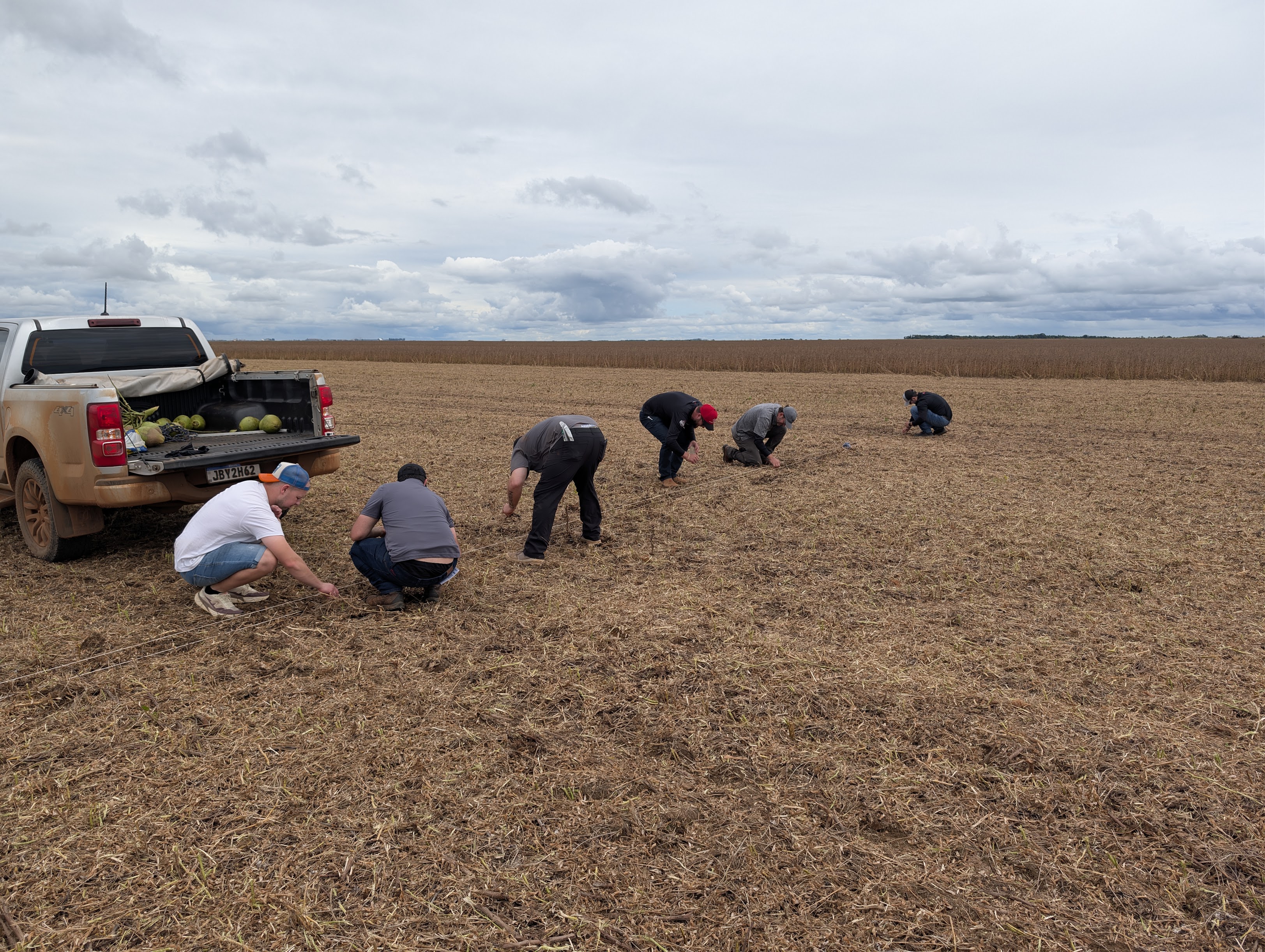 Case Study: Revolutionizing Harvest Loss Measurement with AGCO