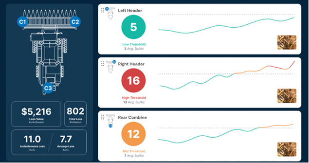 This is what you see