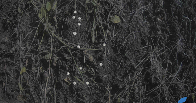 This is what the camera sees